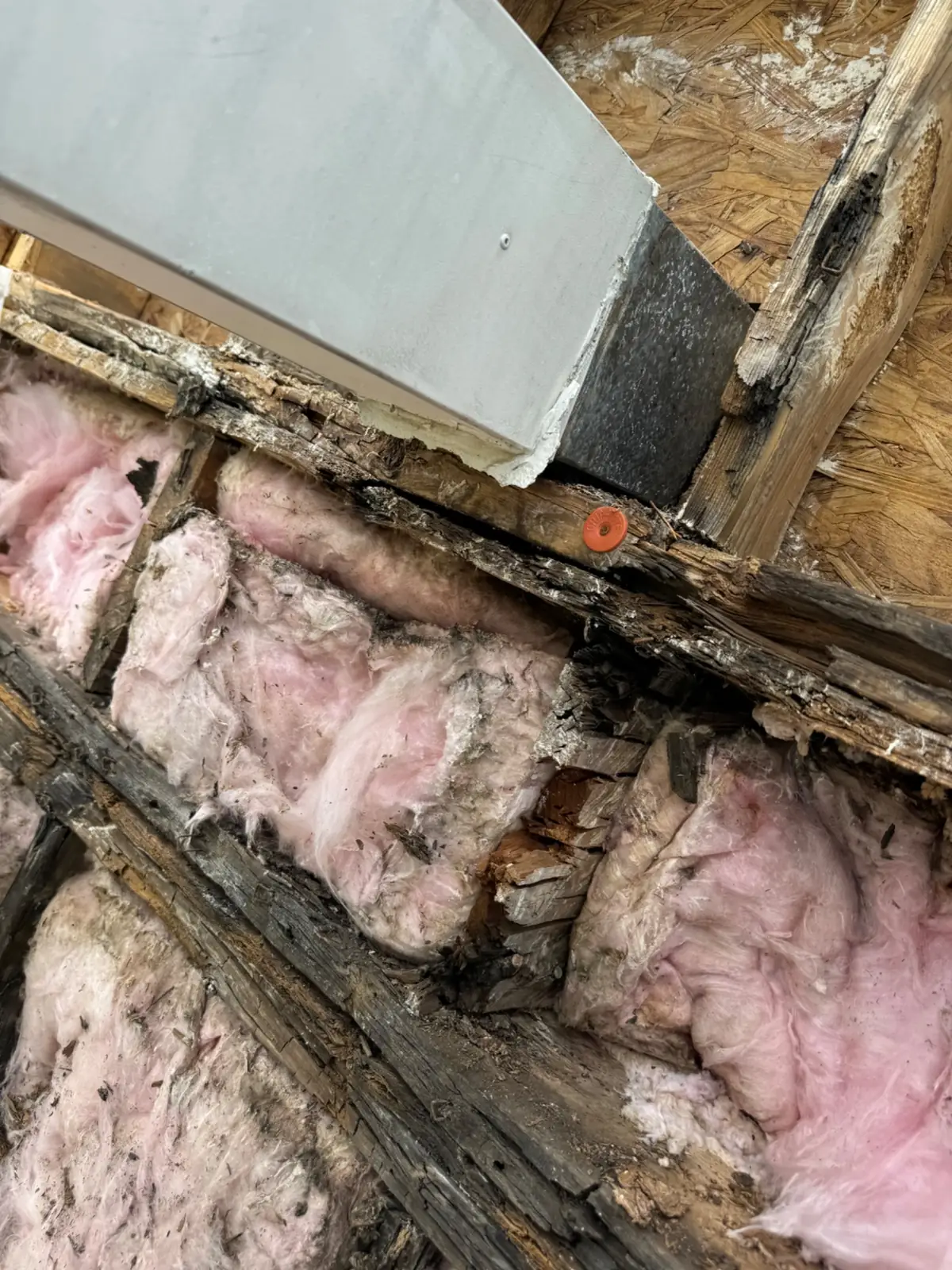 Exterior Wall Leak Detection & Repair