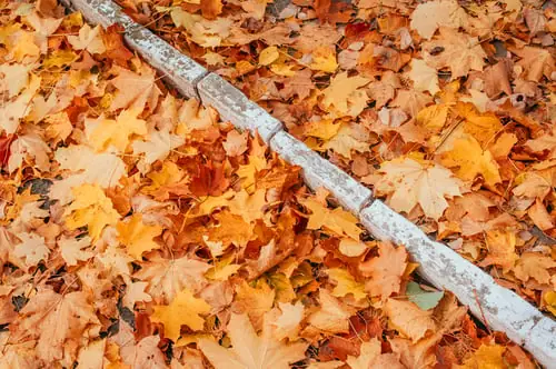 The Gutter Maintenance Schedule That Actually Prevents Leaks
